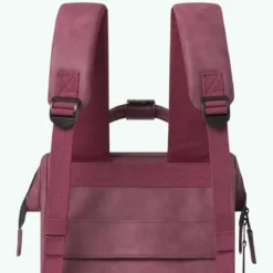 Adventurer Rucksack S Delhi