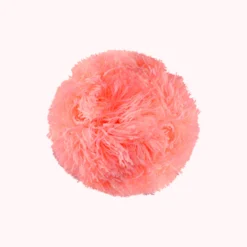 Bobble Coral